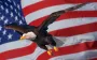 Трамп усиливает торговое давление: мировые валюты падают, доллар укрепляется