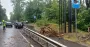 Возле Львова на BMW упало дерево: пострадала 17-летняя девушка