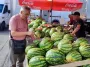 Сезон арбузов задерживается: в Украину завезли тысячи тонн импортных ягод, как выбрать безопасную