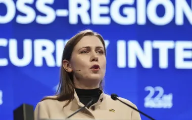 Литва підтвердила падіння російського дрона "Гербера" на своїй території