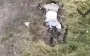 Russian invaders fled trying to escape kamikaze drones. VIDEO