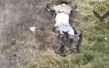 Russian invaders fled trying to escape kamikaze drones. VIDEO