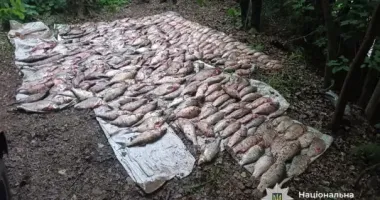 На Черкащині затримали браконьєрів: риболовлею завдали збитків на понад 2 млн грн