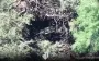 National Guard destroys Korean Type 75 multiple rocket launcher in Kupiansk direction. VIDEO