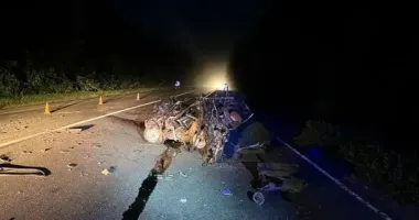 Смертельное ДТП в Харьковской области: водитель погиб на месте