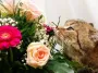 Букет квітів може вбити для вашого котика: ветеринарна медсестра розповіла які квіти смертельно небезпечні