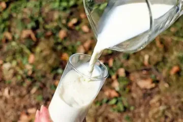 Один продукт з кухні — томати плодоноситимуть до вересня: допомагає від фітофтори, а плоди виростають по 600 г кожен