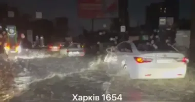 Непогода в Харкові: на 7-річну дівчинку впало дерево