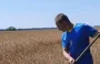 "Буде хліб – буде і перемога!": на Переяславщині відбулися "Воєнні Зажинки-2025" за участі Героїв та зірок