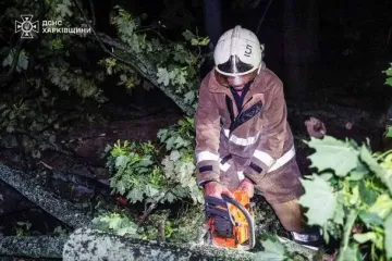 Буря на Харьковщине: сколько жизней унесло непогода и последствия удара стихии (фото)
