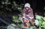 Буря на Харьковщине: сколько жизней унесло непогода и последствия удара стихии (фото)