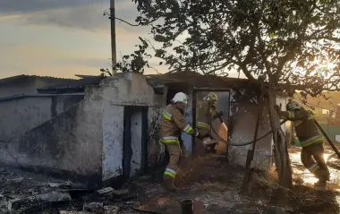 У Миколаївській області вирують масштабні пожежі: горіли ліси, автівки й будинки
