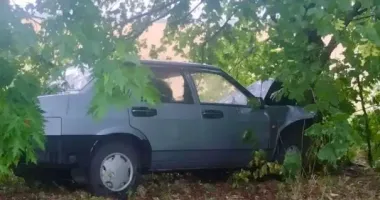 На Київщині легковик врізався в дерево: водія госпіталізували