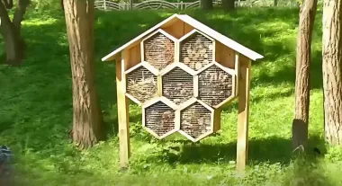 В Киеве появился отель для насекомых из соломы и шишек: какая из них польза (видео)