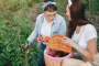 Чем подкормить помидоры, чтобы урожай порадовал количеством и вкусом: понадобится только один продукт, который есть в каждом холодильнике