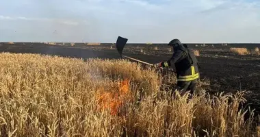 Росія обстріляла Харківщину: є поранені, загиблий та знищене пшеничне поле