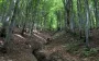 У Карпатах стався землетрус