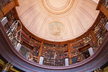 100 тысяч бесценных книг могут исчезнуть из-за обычного насекомого (фото)