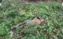SOF fighters conduct successful raid in enemy rear, eliminate occupiers and capture one. VIDEO