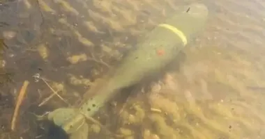 В Днепре подросток во время рыбалки нашел снаряд