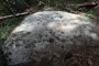 Одна из древнейших: археологи нашли таинственную карту на юге Болгарии (фото)