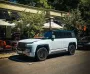 Плавает и ездит боком: в Украине появился самый дорогой BYD за 9 миллионов (фото)