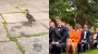 Опередила конкурентку: утка забавно вышла на свадьбу вместо невесты (видео)
