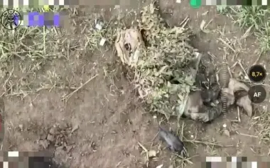 Three invaders hid under anti-drone cloaks but were eliminated by Naddniprianska Brigade fighters. VIDEO