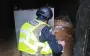 В Чернобыле надругались над могилами хасидов: за дело взялась полиция