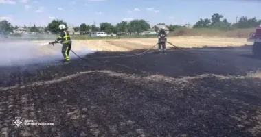 В Кировоградской области в результате пожара сухостоя погибла женщина