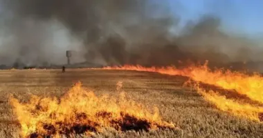 Синоптики попереджають про високий ризик пожеж: які області під загрозою