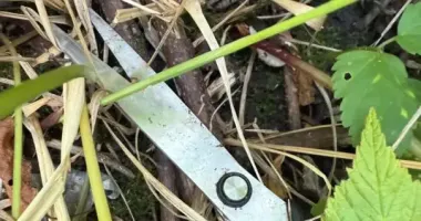Хотели помочь – едва не погибли: нападение на детей во Львове