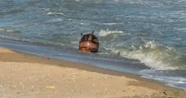 На побережье Коблево взорвалась мина: что известно