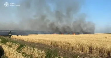 Окупанти знищують врожай на Донеччині: вже згоріло понад 170 гектарів пшениці