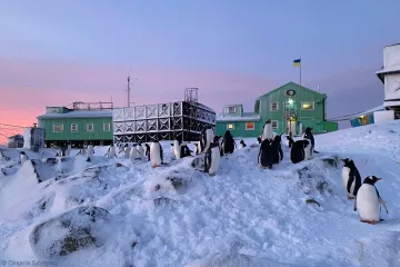 Украинцев приглашают на "работу мечты" — в путешествие на край Земли, где нет никого, кроме пингвинов