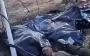Russian "two-hundreds" lie in black bags at edge of forest. VIDEO