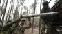 The Russian army is no longer capable of independently conducting an offensive at the front