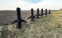 Знищують "Шахеди" та "Гербери": що відомо про нові дрони-перехоплювачі ODIN Win Hit