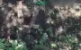 Russian invader takes groin hit from 66th SMB fighters. VIDEO