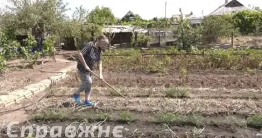 "Якщо не стріляє - аж дивно": як живуть мешканці прифронтової Преображенки на Запоріжжі