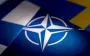 NATO gathers Patriot countries to help Ukraine: meeting may take place on July 23