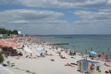 Купатися у Чорному морі небезпечно не тільки через міни: отруйного хижака помітили на узбережжі