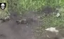 Our defenders struck enemy infantry with combined mortar and drone attack. VIDEO
