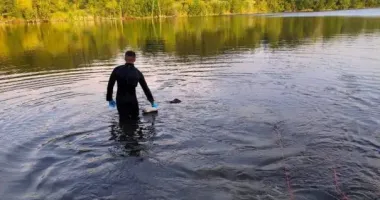На Дніпропетровщині у ставку втопився чоловік