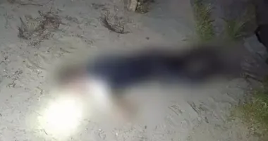 У Києві з озера дістали тіло людини