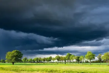 В Україні оголошено штормове попередження — які регіони в небезпеці