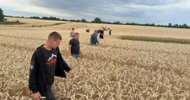 Шукали всім селом: на Житомирщині жінка загубила в полі 3-річну онуку