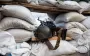 Расстрел военных на полигоне в Черниговской области: в ВСУ сделали официальное заявление