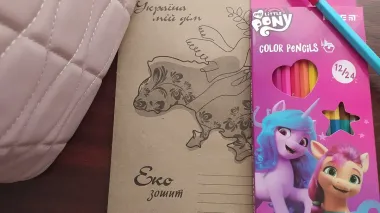 Ukrainian scammers steal using fake 'Schoolchild's Package' links