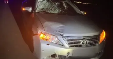 На Одещині водій Toyota на смерть збив пенсіонера
